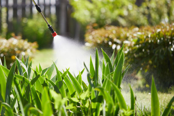 24/7 Emergency Wasp Removal experts in Tonganoxie, KS