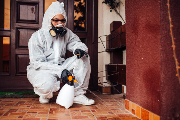 Reliable Wasp Removal contractor in Tonganoxie, KS by Show Me Pest Control